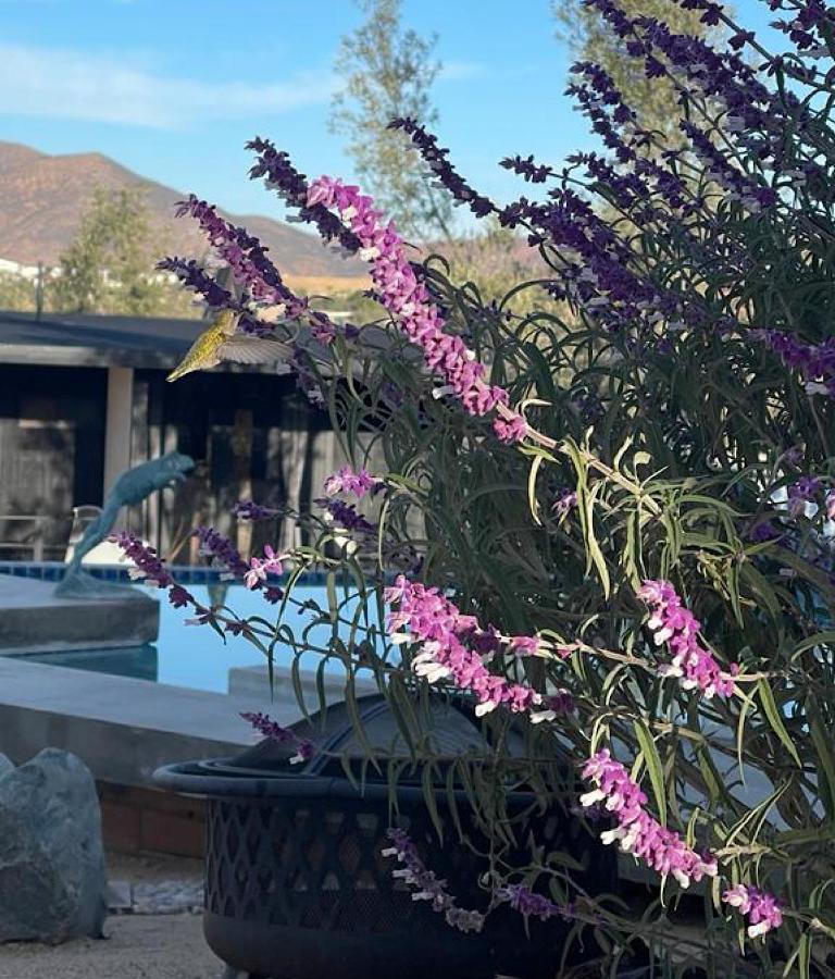Finca Cazosa Guadalupe Eksteriør billede
