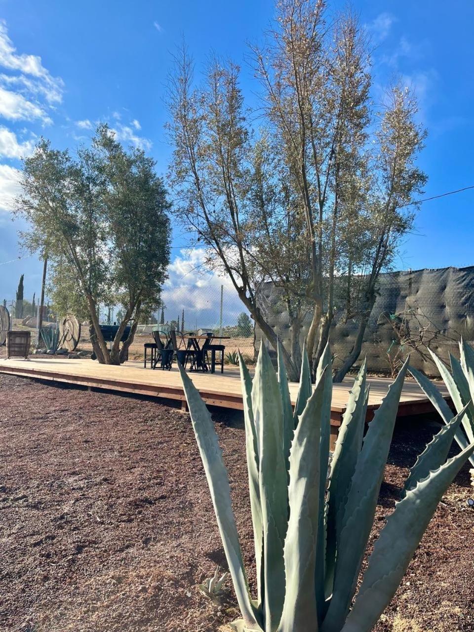 Finca Cazosa Guadalupe Eksteriør billede